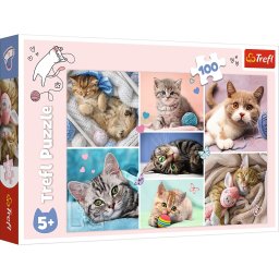 Puzzle Trefl cu 100 piese Lumea pisicilor, multicolor, 4+ ani