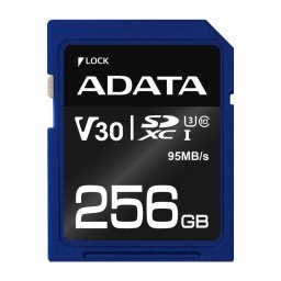 Card memorie SDXC Premier Pro 256GB uhs-i u3 class 10