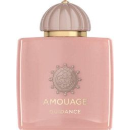 Amouage Amouage Guidance EDP 100ml