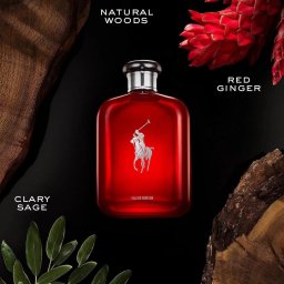 Ralph Lauren Polo Red EDP M 75 ml