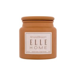 Parfumuri pentru casa Almond Blossom