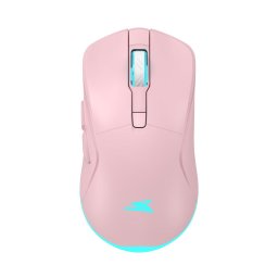 Mouse BGM-124 Turtle Roz