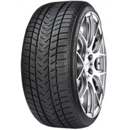 GRIPMAX 205/55 R19 PRO WINTER XL 97V