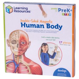 Set magnetic educativ Corpul uman, 17 piese, Learning Resources