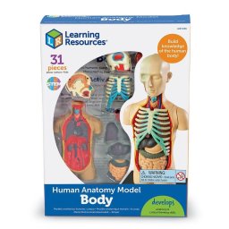 Macheta educativa a corpului uman cu 31 piese pentru copii 8+