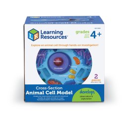 Model educativ celula animala în sectiune, din spuma moale, 12,7 cm