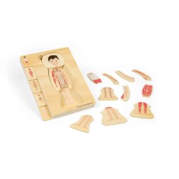 Puzzle anatomic din lemn pentru copii - Baiat, 26 piese educative