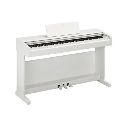 YDP-145WH, 88 clape, 2 x 8 W, Alb