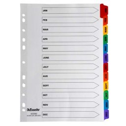 Separatoare carton color index Ian-Dec Mylar Esselte