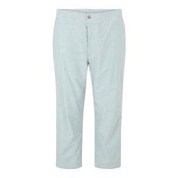 Polo Ralph Lauren Big & Tall Pantaloni eleganți verde mentă