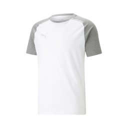 PUMA Tricou funcțional 'Team Cup' gri amestecat / alb