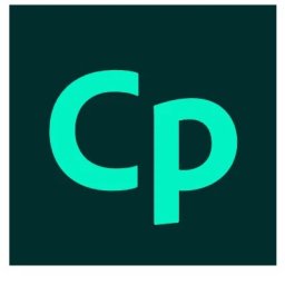 Adobe Captivate pentru întreprindere, platforme multiple, limbi europene multiple, licență nouă de abonament, anual, 12 luni