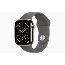 Smartwatch Watch Series 11 GPS + Cellular 42mm Natural Titanium Case with Stone Grey Sport Band - S/M