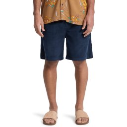 QUIKSILVER Pantaloni sport 'Taxer 18' albastru