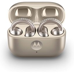 Moto Buds Loop French Oak