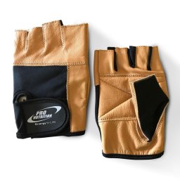 Accesorii fitness Manusi Performance L