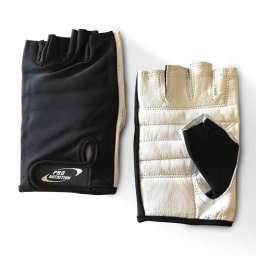 Accesorii fitness Manusi Basic L