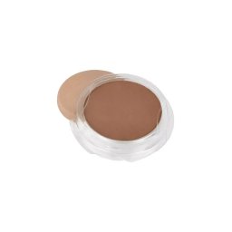 Shiseido Sun Uv Protector Compact Foundation Dark Ivory Refill 12g