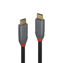 Cablu USB 3.2 type C Anthra Line 10Gbps PD 100W 7m, Lindy L36909