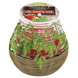 Lumanare repelenta pentru terasa Bolsius Citronella, 40h, parfum rosie