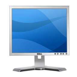 Monitor DELL, model: 1708FPT; 17"; SH