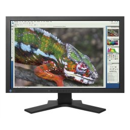 Monitor EIZO; model: S2202W; 22