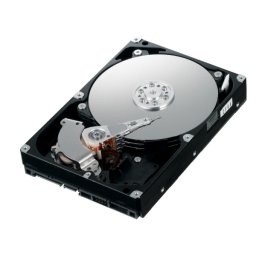 HDD 300 GB; SATA II; 2.5", Western Digital VelociRaptor WD3000HLFS