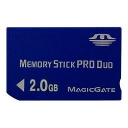 PRO DUO CARD TRANSCEND; model: TS2GMSD; capacitate: 2 GB; culoare: NEGRU