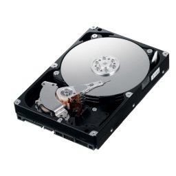 HDD 250 GB; S-ATA II; 5400 RPM; 8 MB BUFFER; WESTERN DIGITAL; WD2500LPVT; NOU