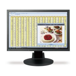 MONITOR EIZO; model: FLEXSCAN S2201w; 22"; WIDE; SH; "dunga display