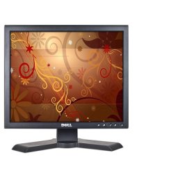 Monitor DELL, model: P170ST; 17"; SH