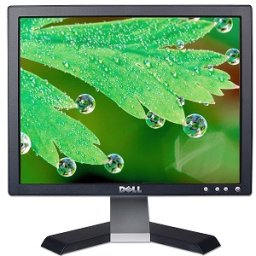 Monitor DELL, model: 177FPB; 17"; SH