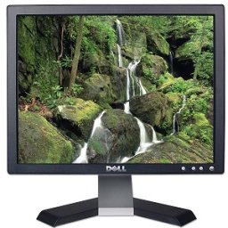 Monitor DELL, model: 176FPM; 17"; SH