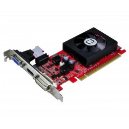 Placa video GAINWARD 1024 MB; GDDR3; 64 bit; PCI-E 16x; NVIDIA GeForce 210; VGA; DVI; HDMI