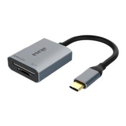 Card reader Akasa USB 3.2 Gen1 Type-C Dual Card Reader - silber