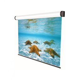 PJ SCREEN SOPAR ELECTRIC PROF 280*210