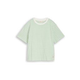 TOM TAILOR DENIM Tricou verde pastel / alb