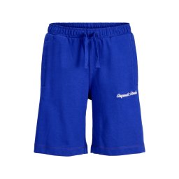 Jack & Jones Junior Pantaloni 'JPSTKARL NORREBRO' albastru / alb