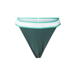 Calvin Klein Swimwear Slip costum de baie verde / verde închis / mov deschis / alb