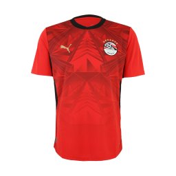 PUMA Tricot 'EFA Home' roșu / roşu închis / negru / alb