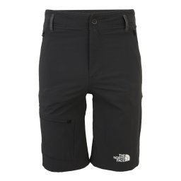 THE NORTH FACE Pantaloni outdoor 'Speelight' gri metalic