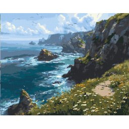 Set pictura pe numere, cu sasiu, Camp inflorit la marginea falezei, 40x50 cm