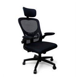 Scaun de birou ergonomic Leziter Flexo, pivotant, negru, cu suport lombar