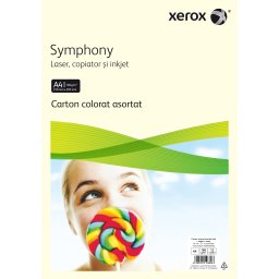 Carton copiator color A4 160g 24 coli 12 culori Xerox