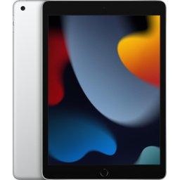 Tableta iPad 9 10.2" Wi-Fi 256GB argintiu