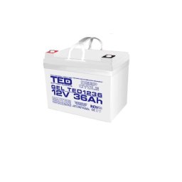 Acumulator GEL Deep Cycle 12V 36Ah VRLA cu terminal M6 TED