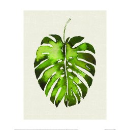 Tablou Pergo Classics, model frunza tropicala, panza, bej/verde, 40 x 50 cm