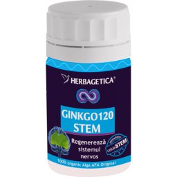 Ginkgo 120 stem 60 cps