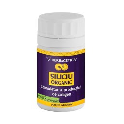 Siliciu organic 60 cps
