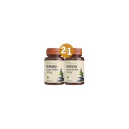 GINKANA GINKGO BILOBA 120MG 2*30CPR PCH